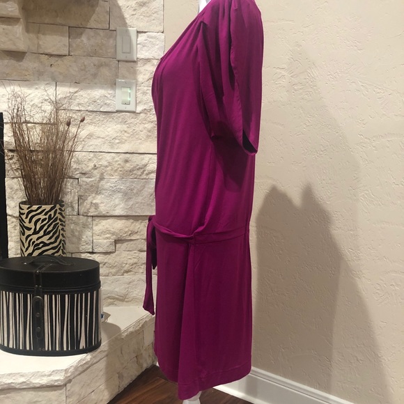 EUC Belted Sheath Dress - Picture 3 of 5